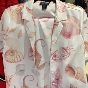 Seashell Set